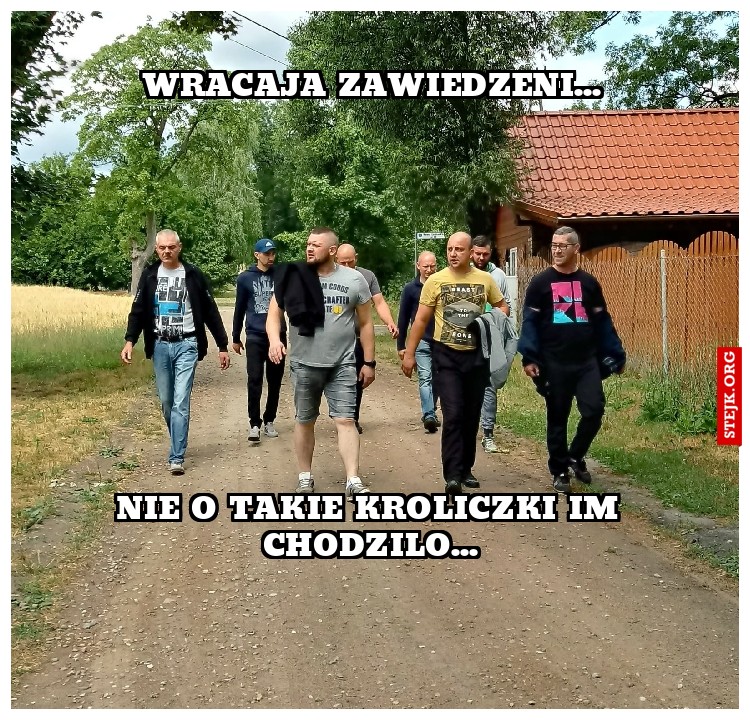 WRACAJA ZAWIEDZENI...