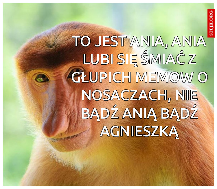To jest Ania, Ania lubi się śmiać z głupich memow o nosaczach, nie bądź Anią bądź Agnieszką