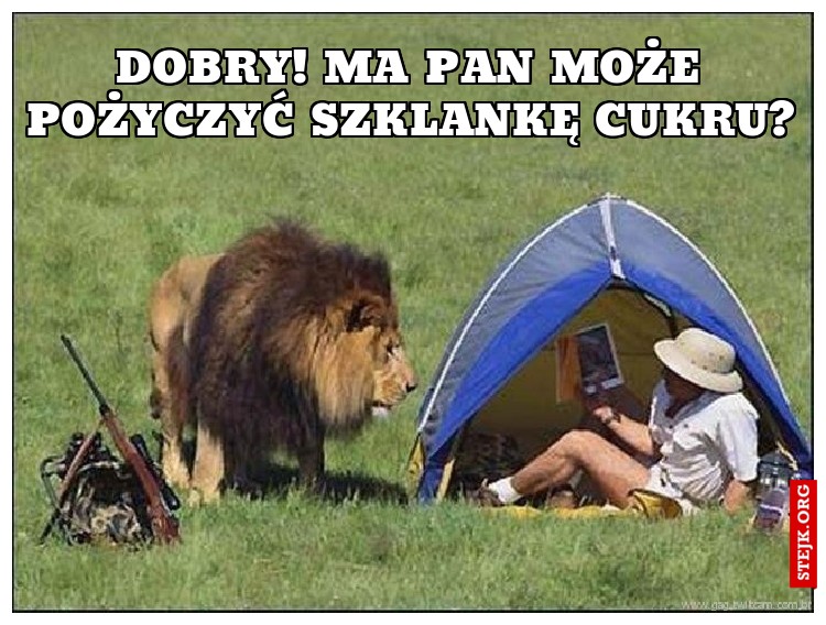 Dobry! Ma pan może pożyczyć szklankę cukru?