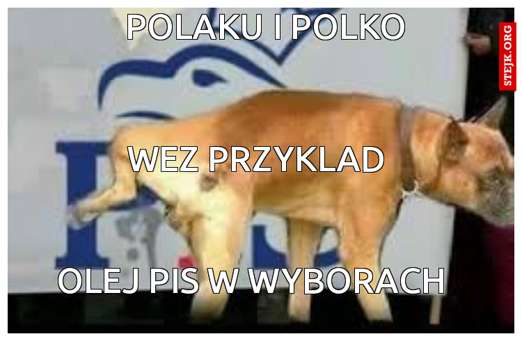 Polaku i polko