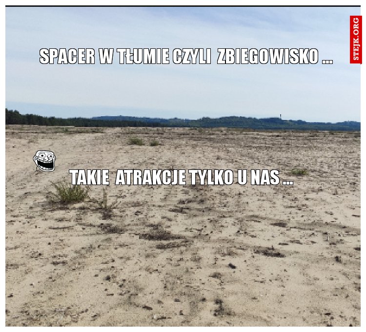 spacer w tłumie czyli  zbiegowisko ...