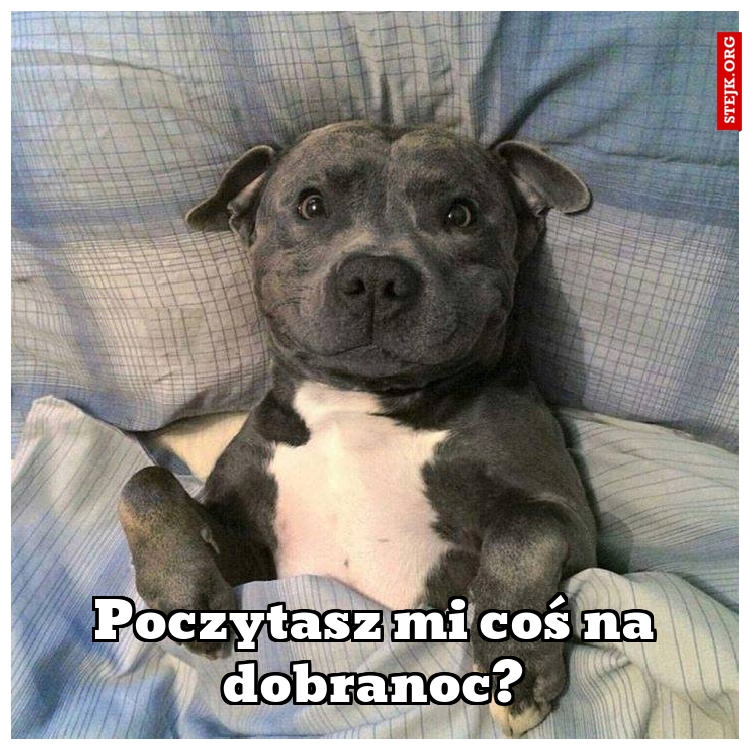 Poczytasz mi coś na dobranoc?