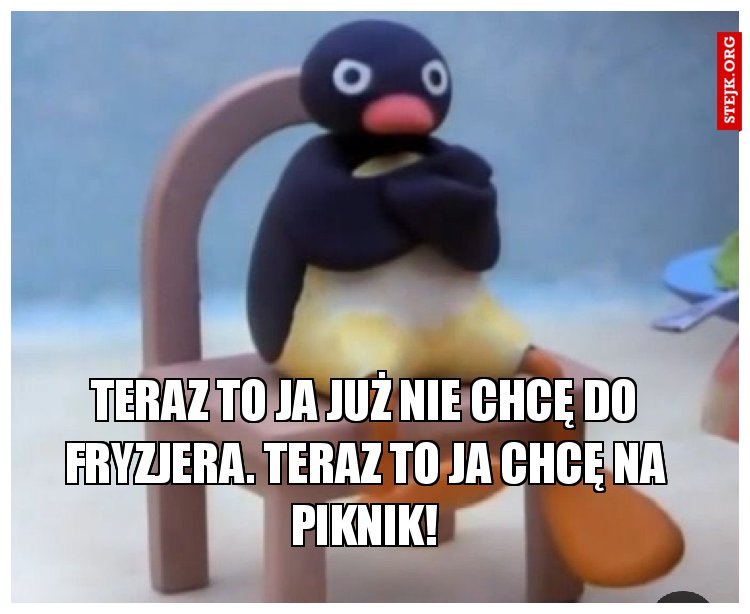 Teraz to ja już nie chcę do fryzjera. Teraz to ja chcę na piknik!