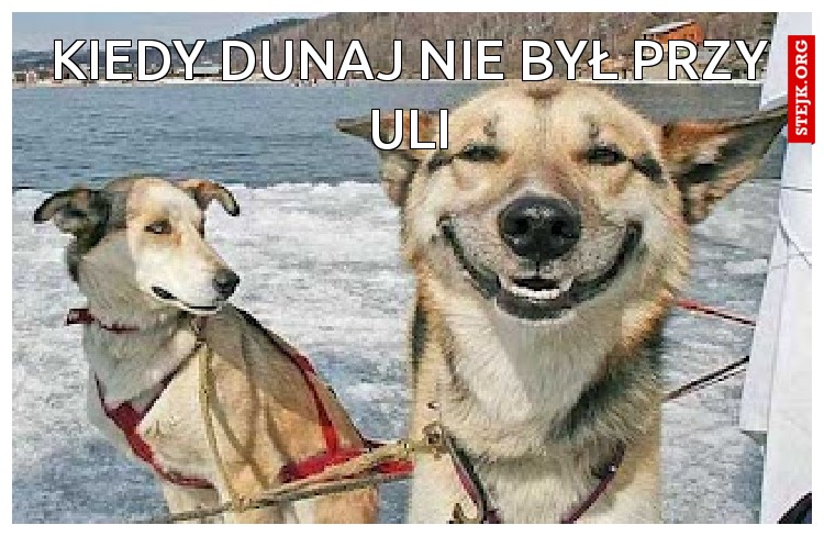 Kiedy dunaj nie był przy uli