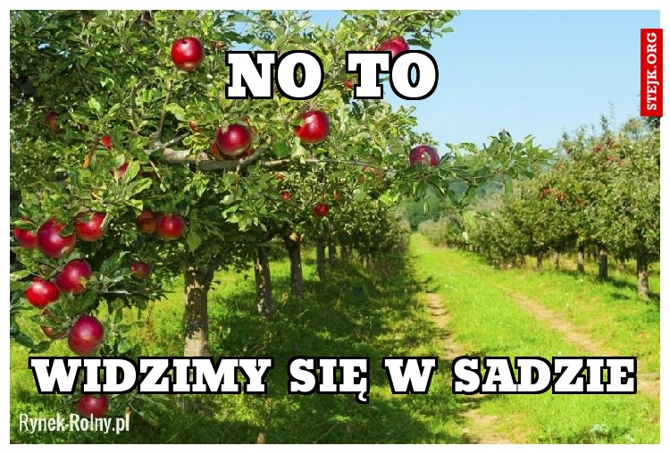 NO TO