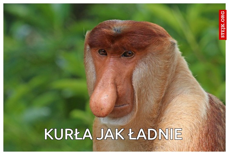 KURŁA JAK ŁADNIE