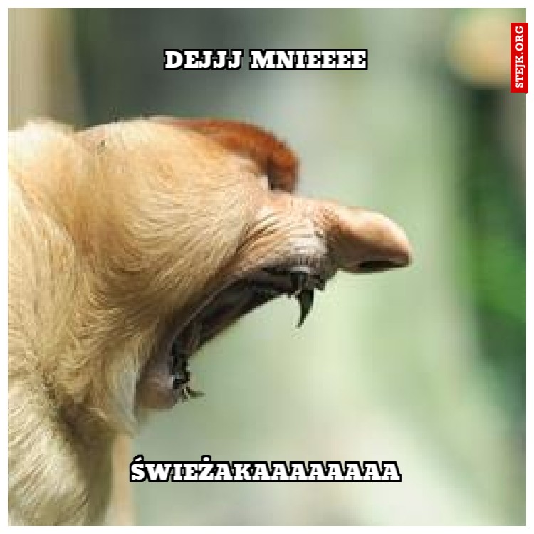dejjj mnieeee