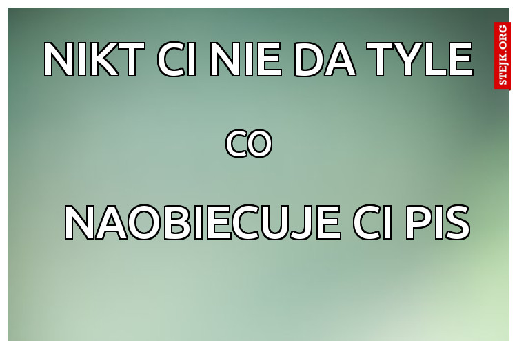 nikt ci nie da tyle