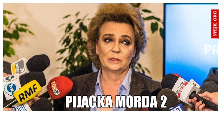 Pijacka morda 2