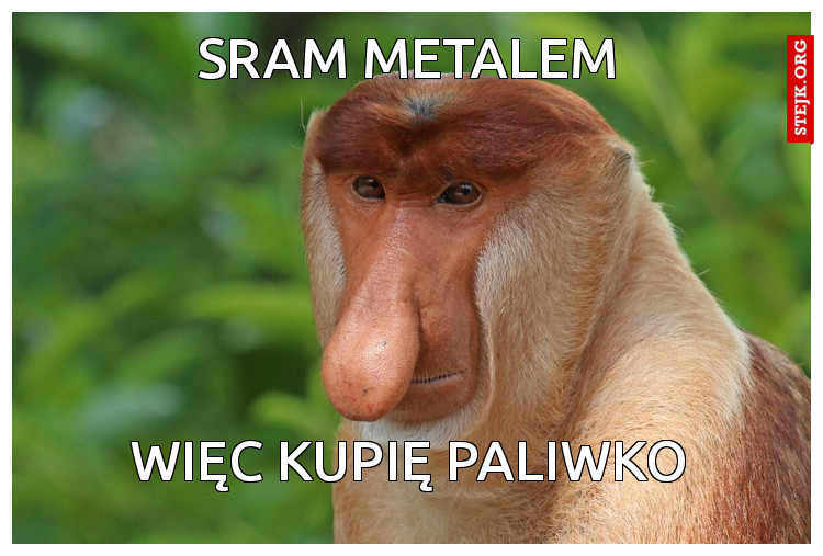SRAM METALEM