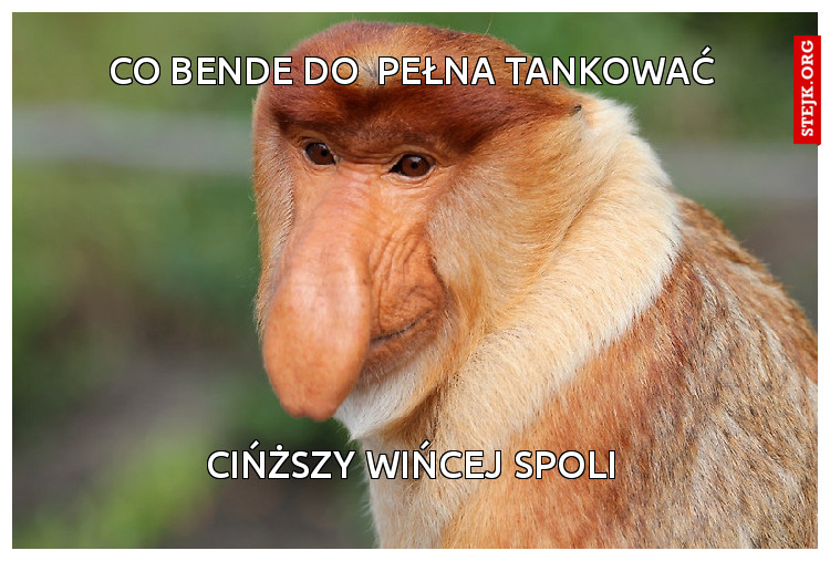 co bende do  pełna tankować