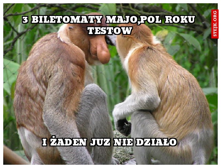 3 biletomaty majo,pol roku testow