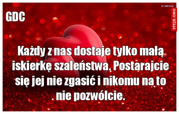 Każdy z nas dostaje tylko małą iskierkę szaleństwa. Postarajcie się jej nie zgasić i nikomu na to nie pozwólcie.