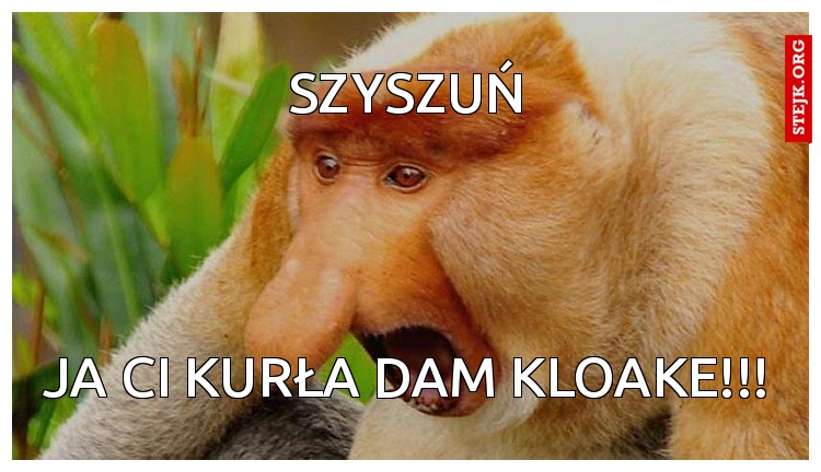 jA CI KURŁA DAM KLOAKE!!!