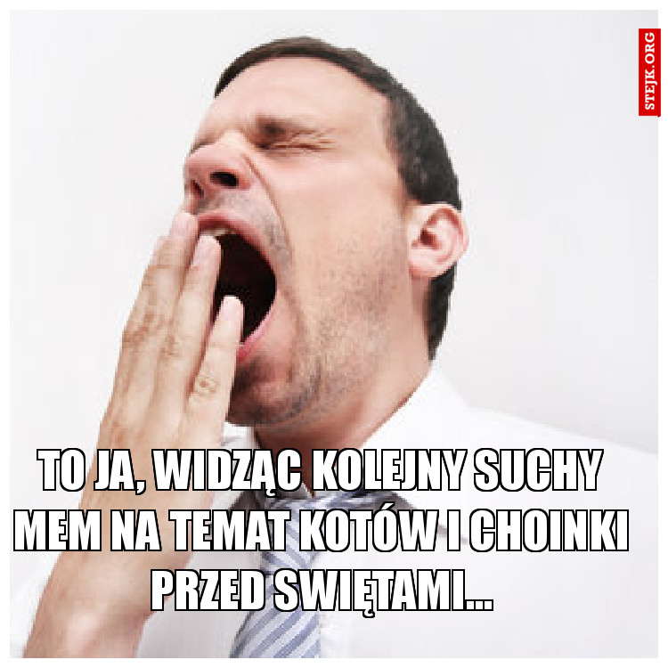 To ja, widząc kolejny suchy mem na temat kotów i choinki przed swiętami...