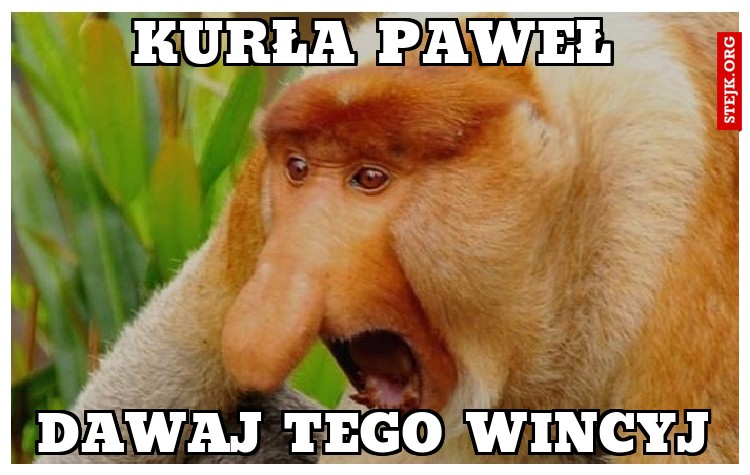 Kurła Paweł
