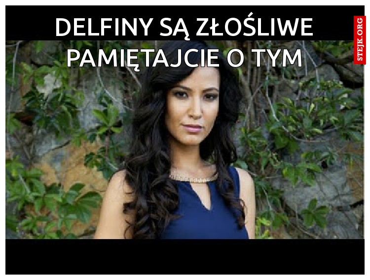 Delfiny są złośliwe Pamiętajcie o tym