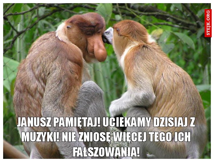 janusz pamiętaj! uciekamy dzisiaj z muzyki! nie zniosę więcej tego ich fałszowania!