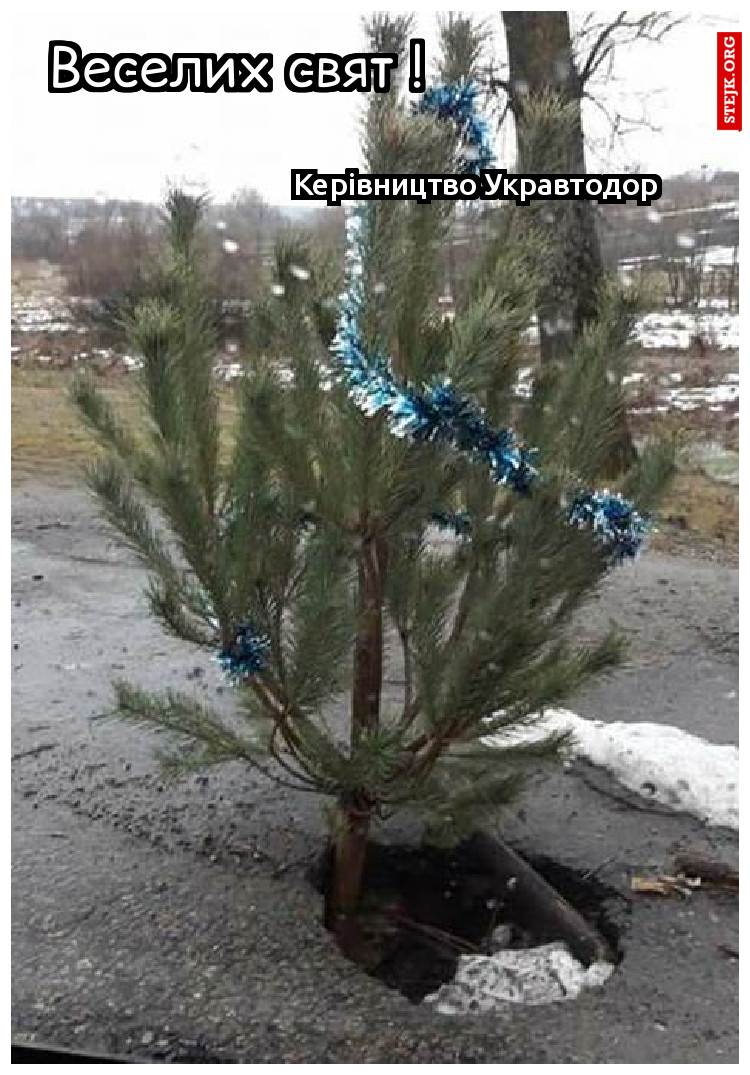 Веселих свят !