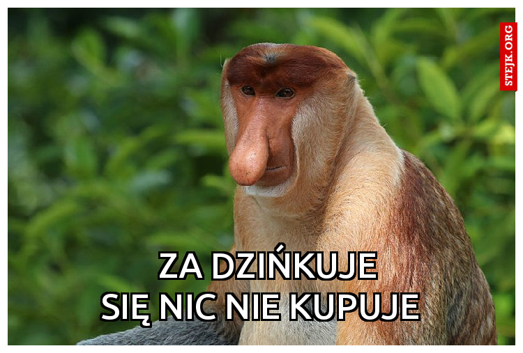 Za dzińkuje
