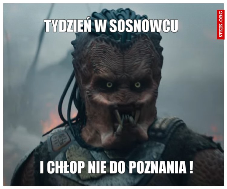 Tydzień w Sosnowcu 