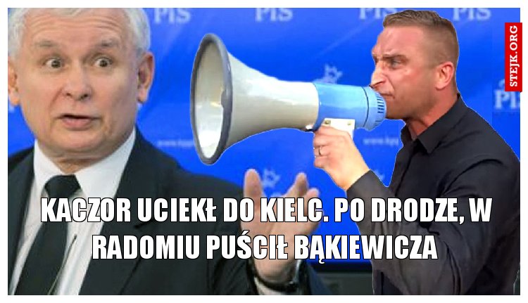 Kaczor uciekł do Kielc. Po drodze, w Radomiu puścił Bąkiewicza 