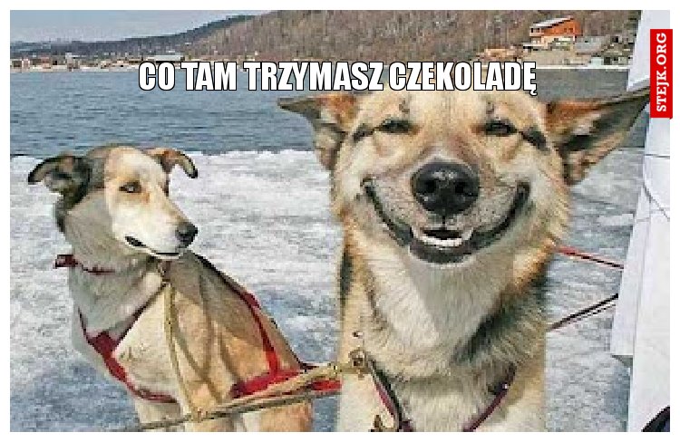 Co tam trzymasz czekoladę