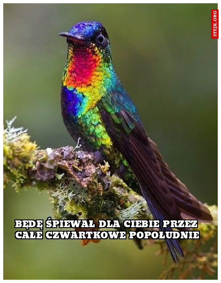 będę śpiewał dla ciebie przez całe czwartkowe popołudnie