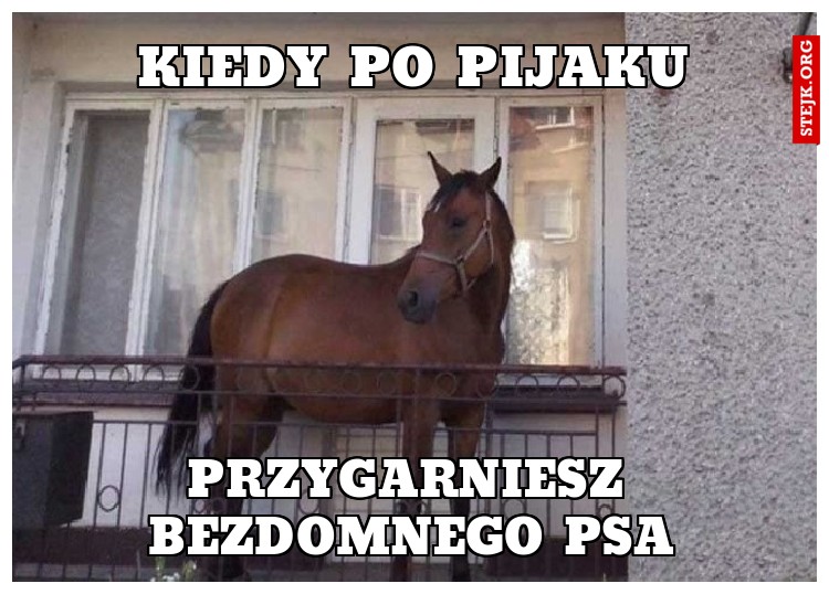 Kiedy po pijaku