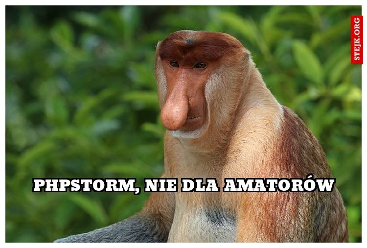 PHPSTorm, nie dla amatorów