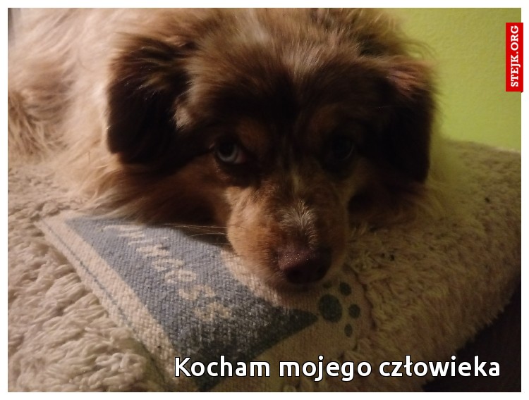 Kocham mojego człowieka