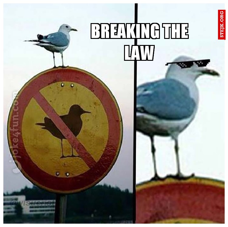 BREAKING THE LAW