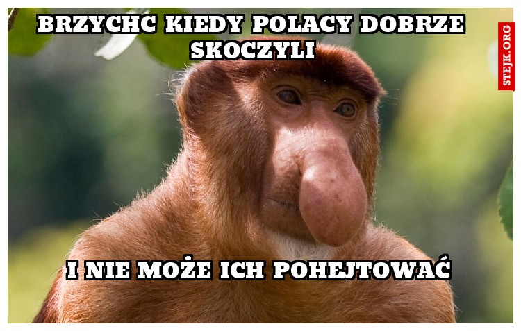 Brzychc kiedy polacy dobrze skoczyli