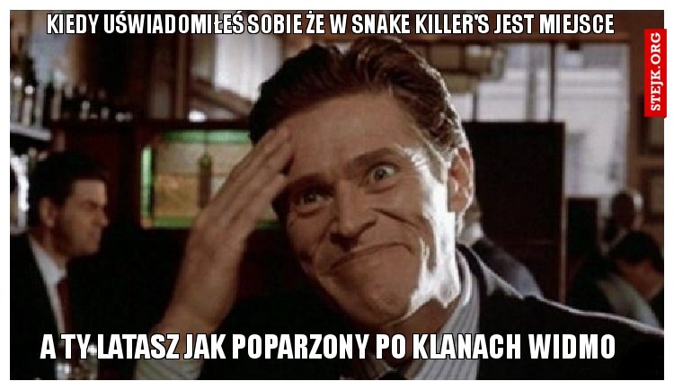 Kiedy uświadomiłeś sobie że w snake killer's jest miejsce