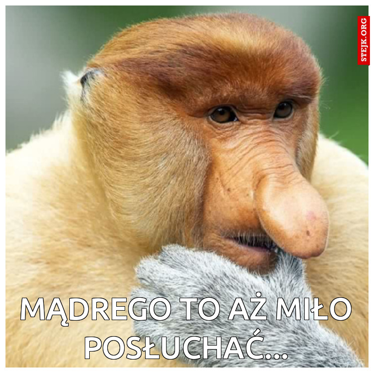 Mądrego to aż miło posłuchać...