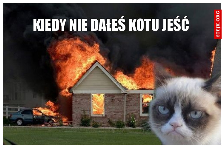 KIEDY NIE DAŁEŚ KOTU JEŚĆ