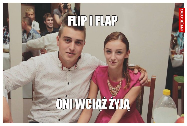 flip i flap