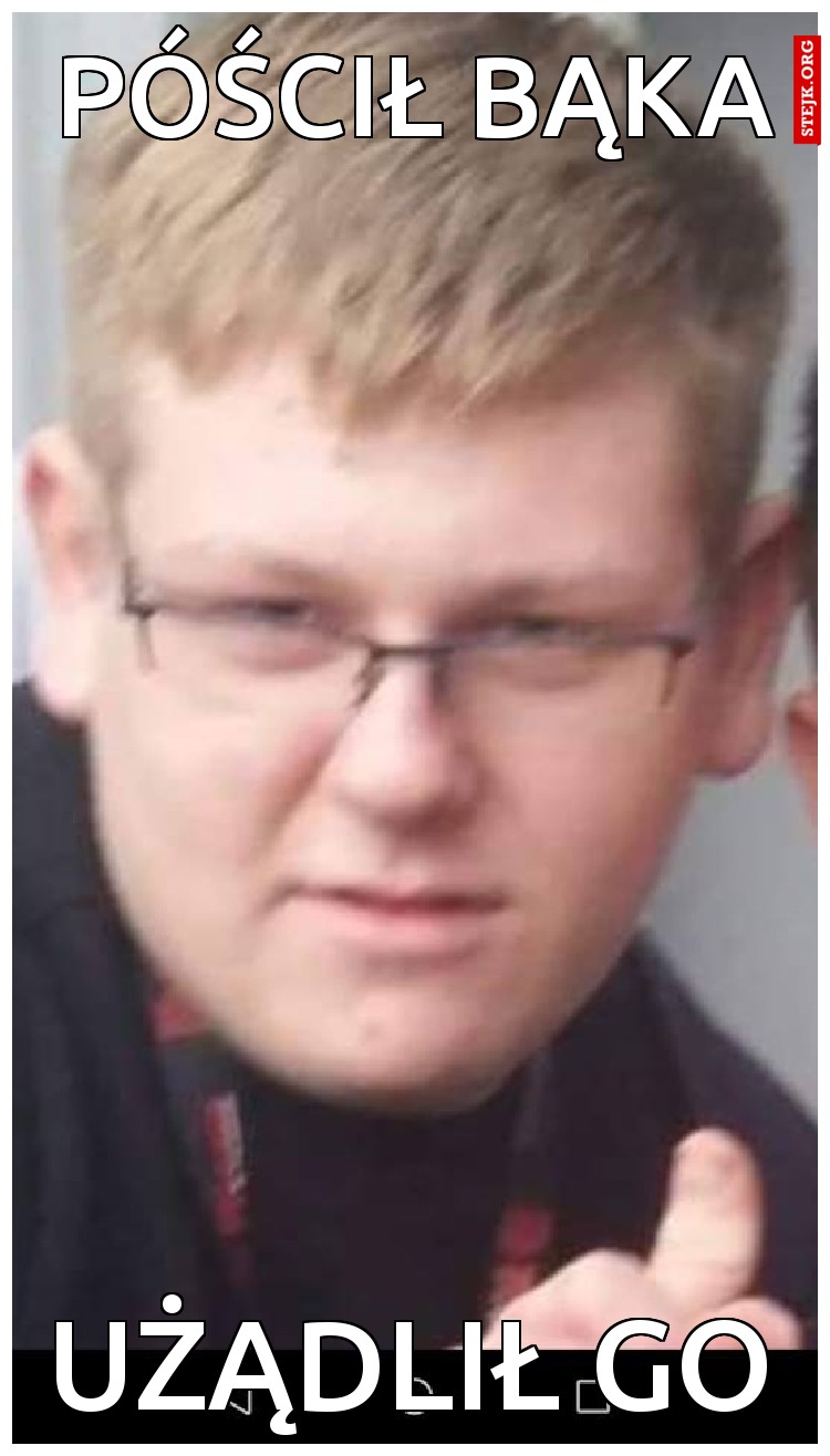 póścił bąka