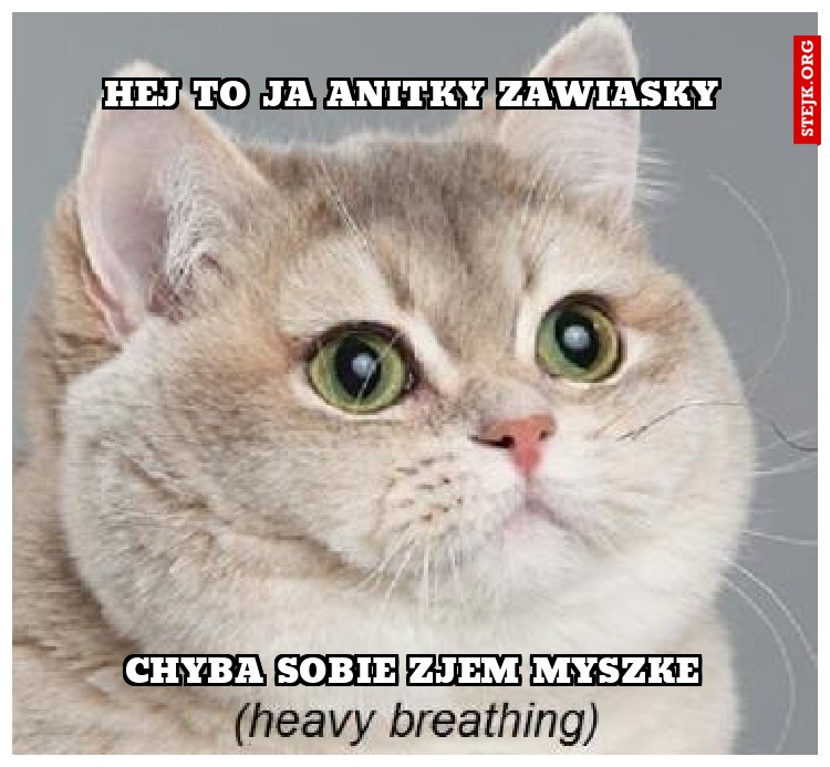 Hej to ja Anitky zawiasky