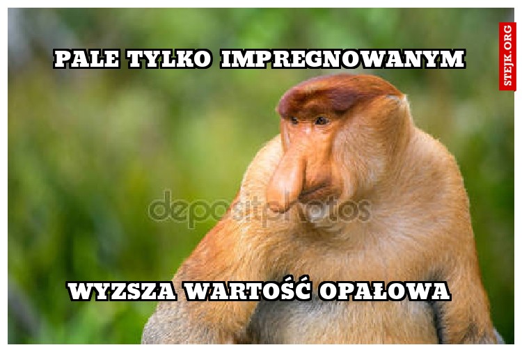 Pale tylko impregnowanym