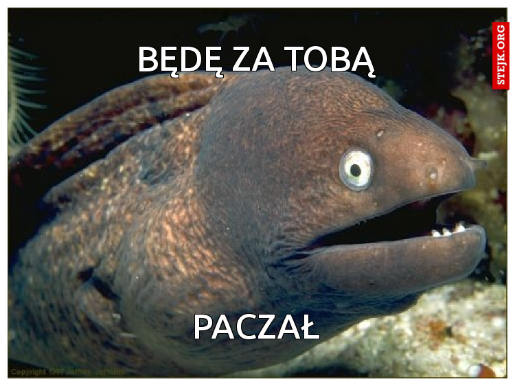 Więc powiadasz że było ciężko