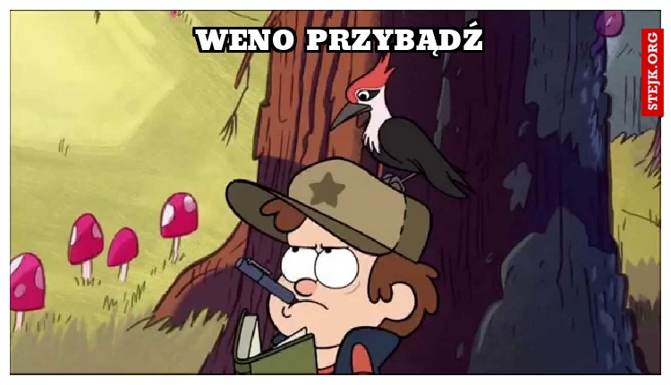 WENO PRZYBĄDŹ