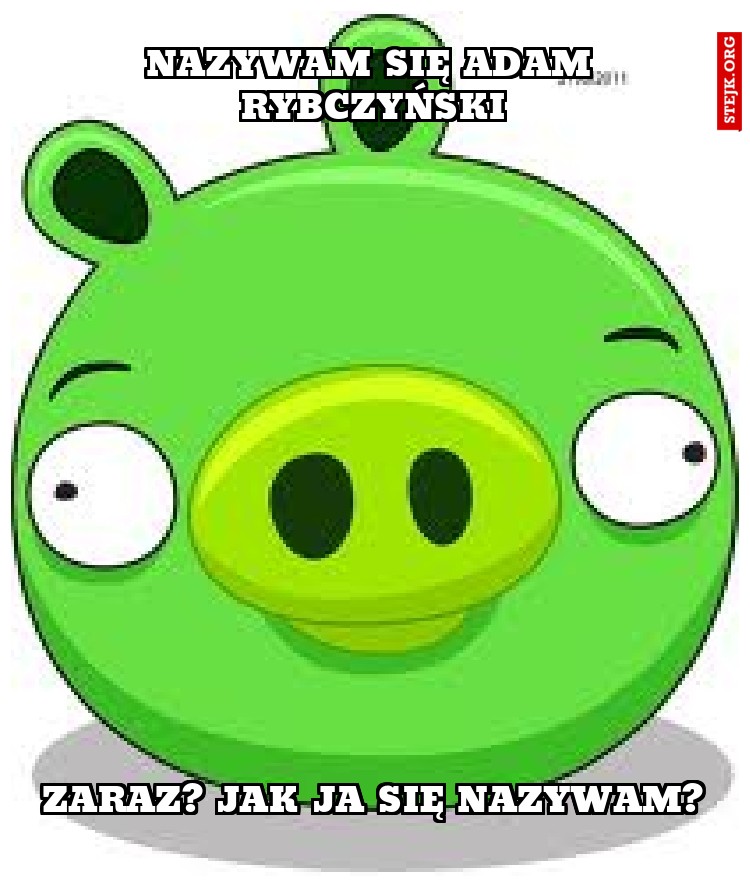 nazywam się Adam rybczyński