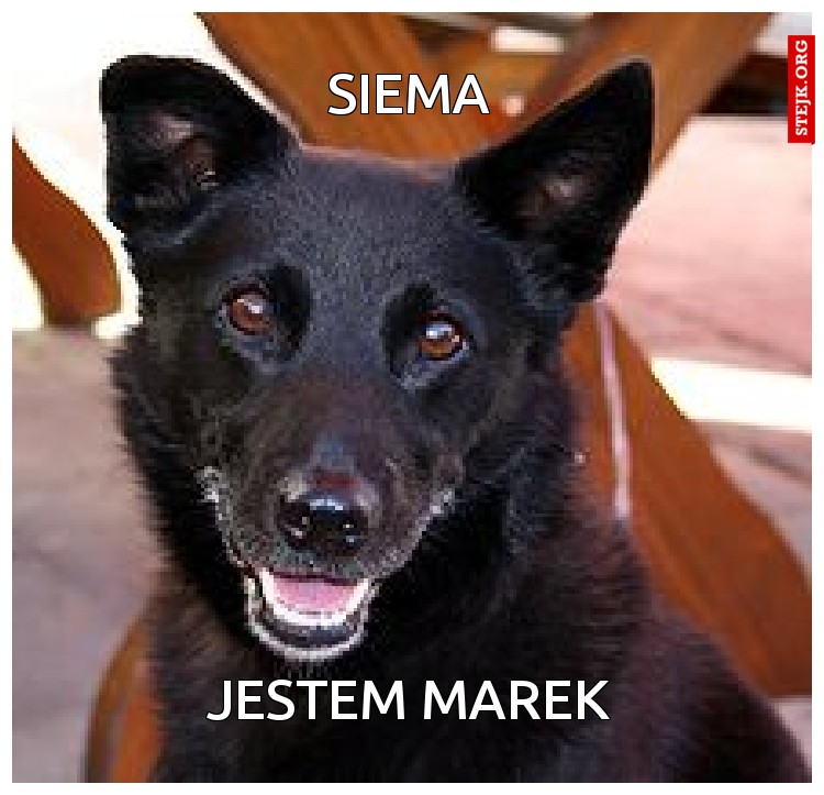 siema
