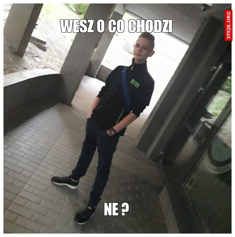 wesz o co chodzi