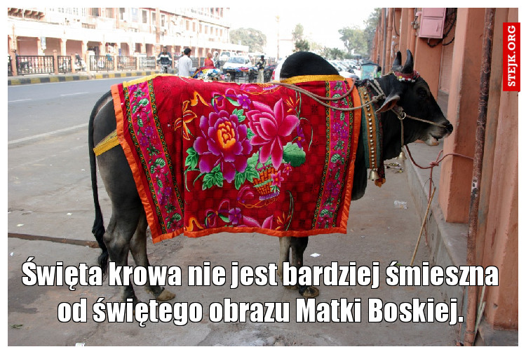 Święta krowa nie jest bardziej śmieszna od świętego obrazu Matki Boskiej.