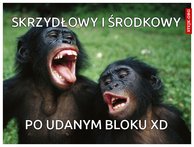 skrzydłowy i środkowy