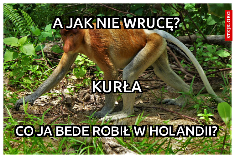 a jak nie wrucę?