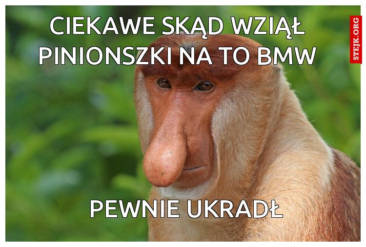 Ciekawe skąd wziął pinionszki na to BMW