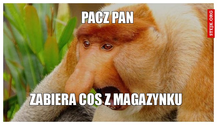 Pacz PAN